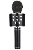 Ws-858 02 Karaoke Mikrofon Aux Usb Ve Sd Kart Girişli Bluetooth SİYAH 